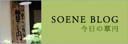 SOENE BLOG