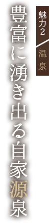 魅力2 温泉豊富に湧き出る自家源泉