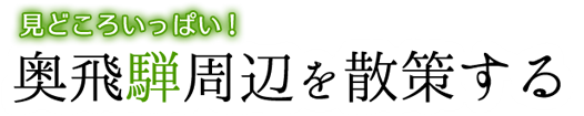 見どころいっぱい!奥飛騨周辺を散策する