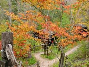 森の湯の紅葉②