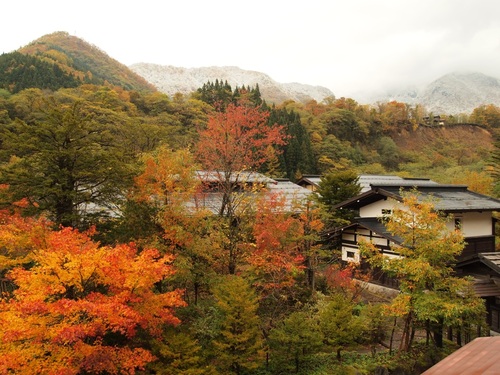 晩秋の草円外観