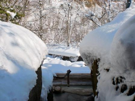 森の湯・岩湯