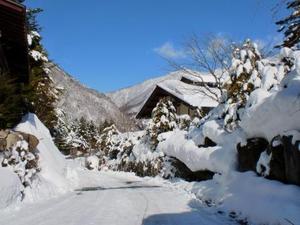 寒いですが日差しが気持ちいい