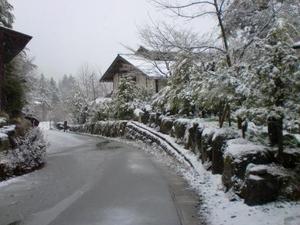 春の雪②