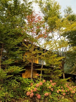 奥飛騨の紅葉