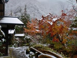 雪景色①