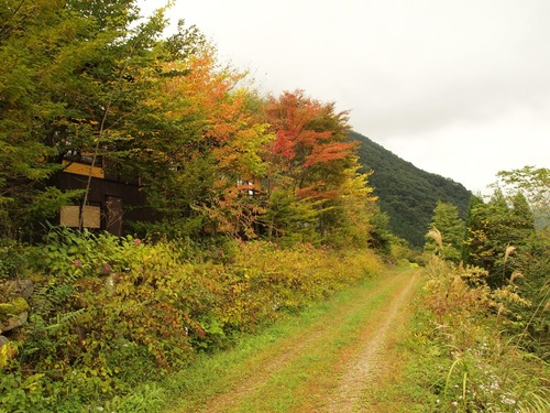 一足早い紅葉の始まり草円のせせらぎの小径